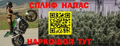 шишки Гусь-Хрустальный